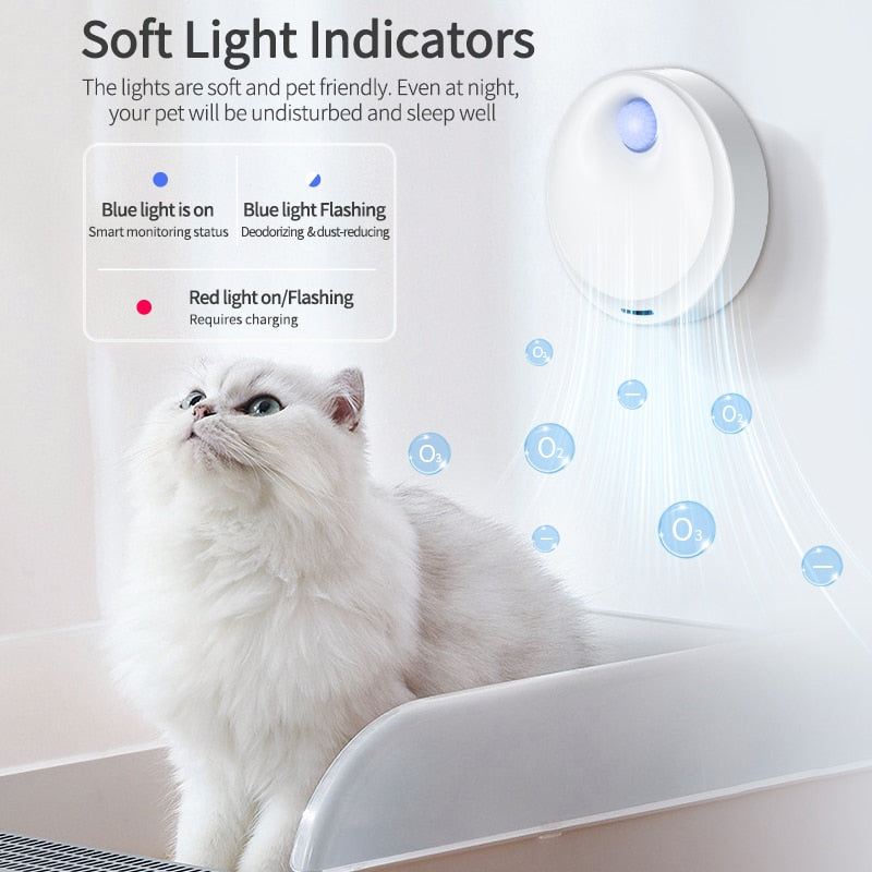 Best room deodorizer 2025 for litter box